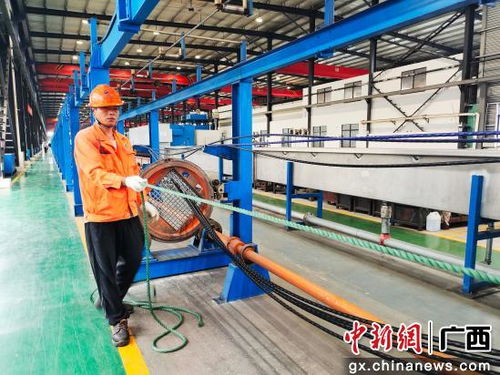 柳州柳江区 聚焦项目建设 强化技术开发 为区域高质量发展注入强劲动能